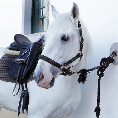 Arrabida Heritage @Portugal Luxury Retreat ξενώνας Azeitao Εξωτερικό φωτογραφία