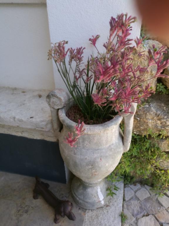 Arrabida Heritage @Portugal Luxury Retreat ξενώνας Azeitao Εξωτερικό φωτογραφία