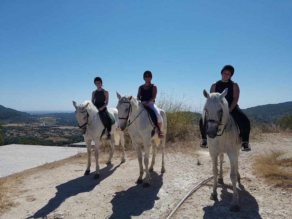 Arrabida Heritage @Portugal Luxury Retreat ξενώνας Azeitao Εξωτερικό φωτογραφία