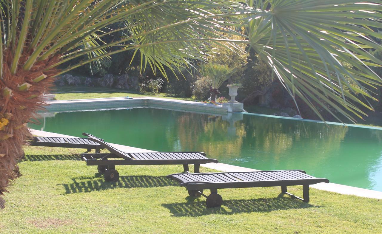 Arrabida Heritage @Portugal Luxury Retreat ξενώνας Azeitao Εξωτερικό φωτογραφία